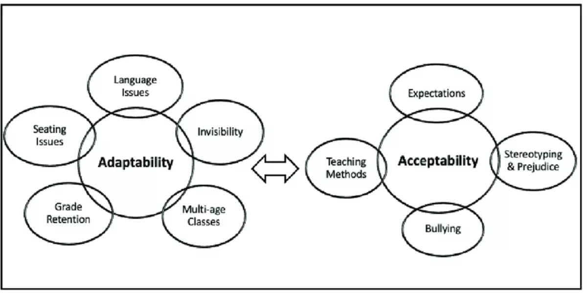 Adaptability and Accessibility