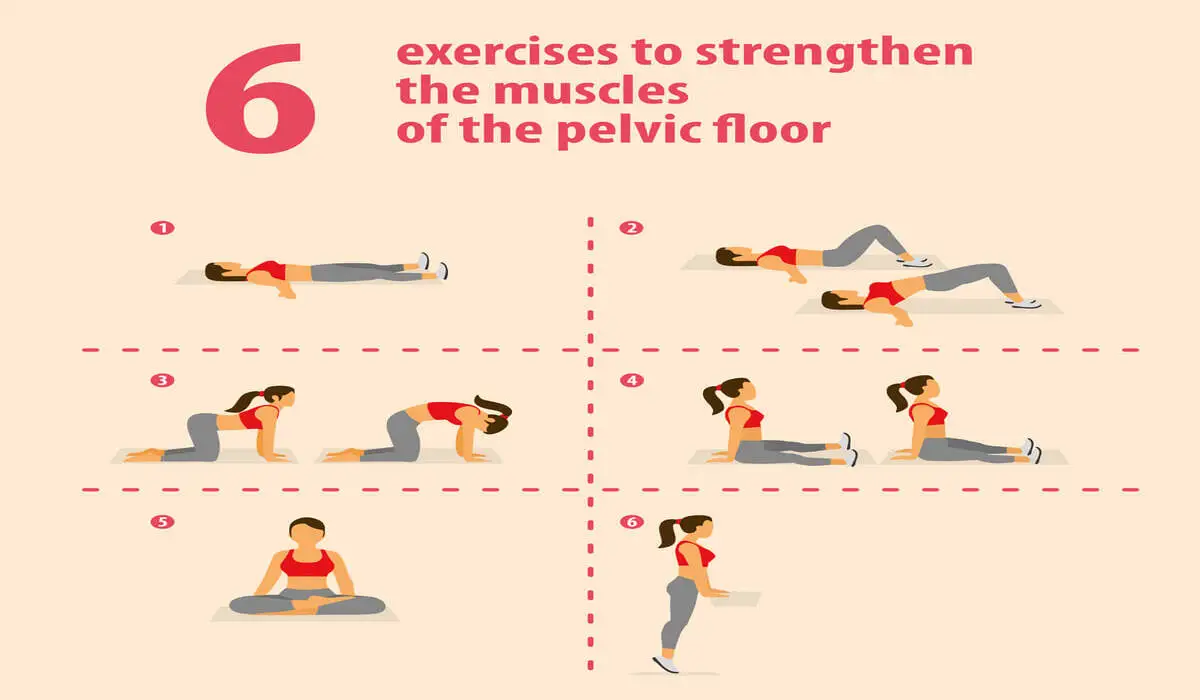 Pelvic Floor Exercises