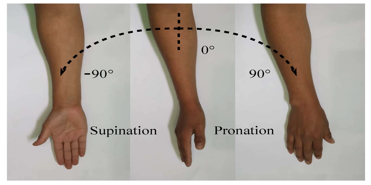 Pronation and Supination