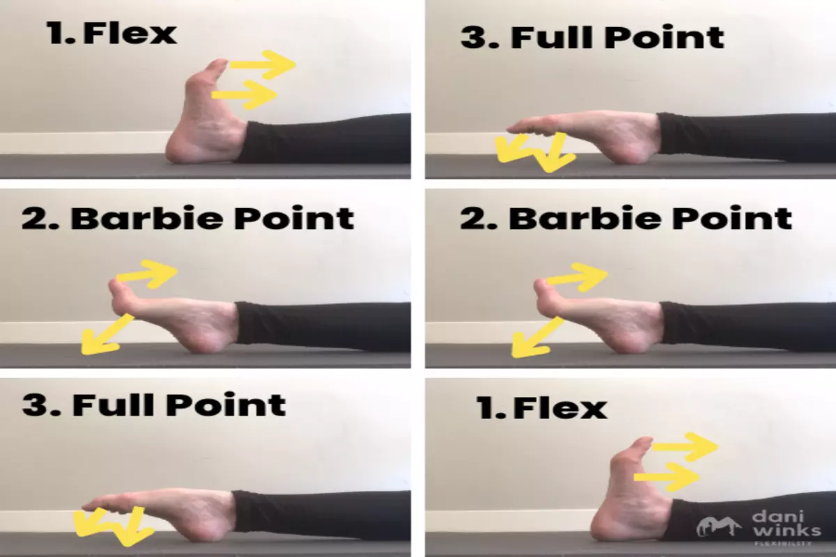 Toe Flex and Point