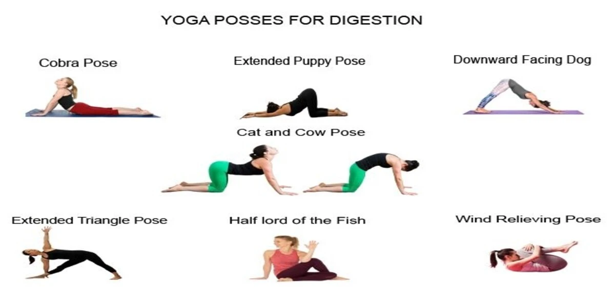 Yoga Poses for Digestion