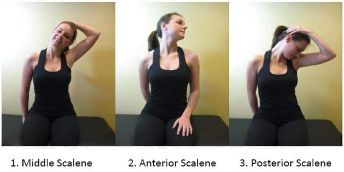 Scalene Muscle Stretch