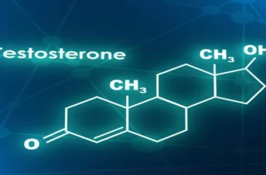 Testosterone