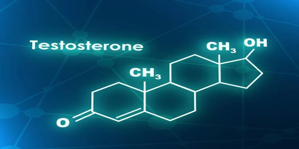 Testosterone