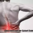 Core Exercises for Spinal Stability