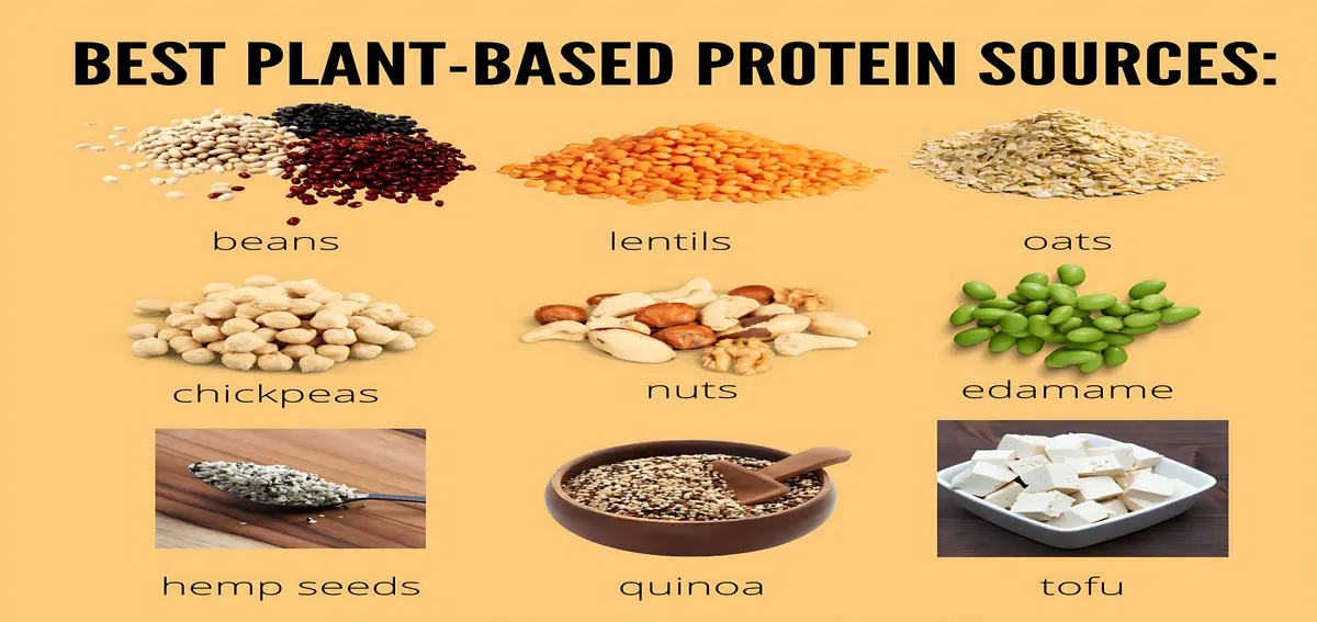 Plant-based Protein