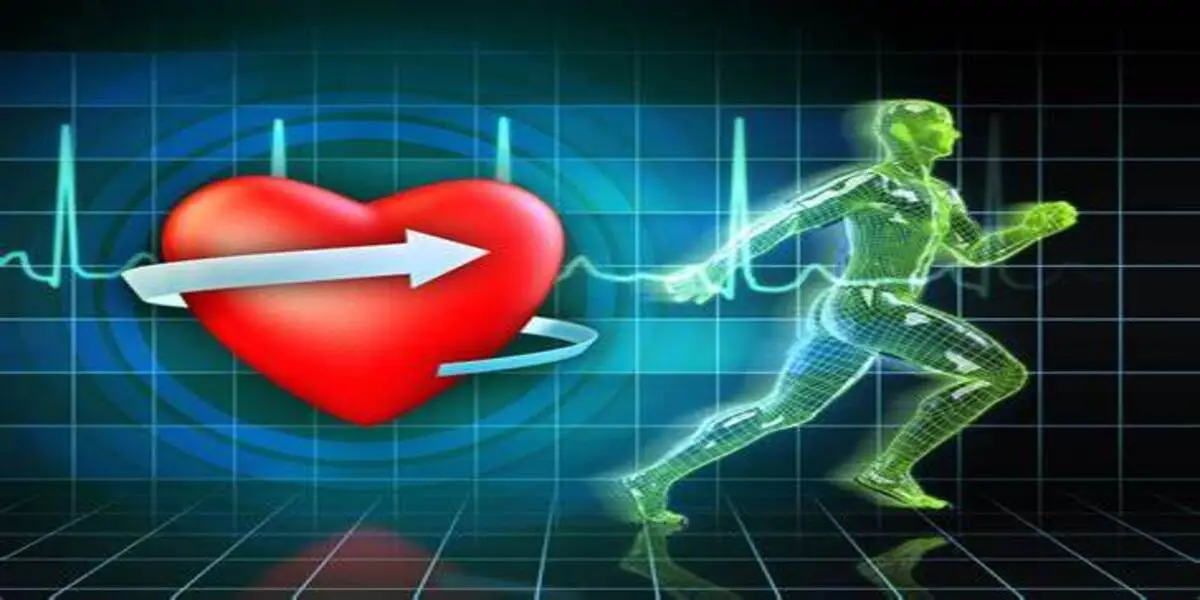 Improving Cardiac Fitness by Just 3% Can Drop Prostate Cancer Risk by 35%